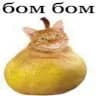 Богдан Русский