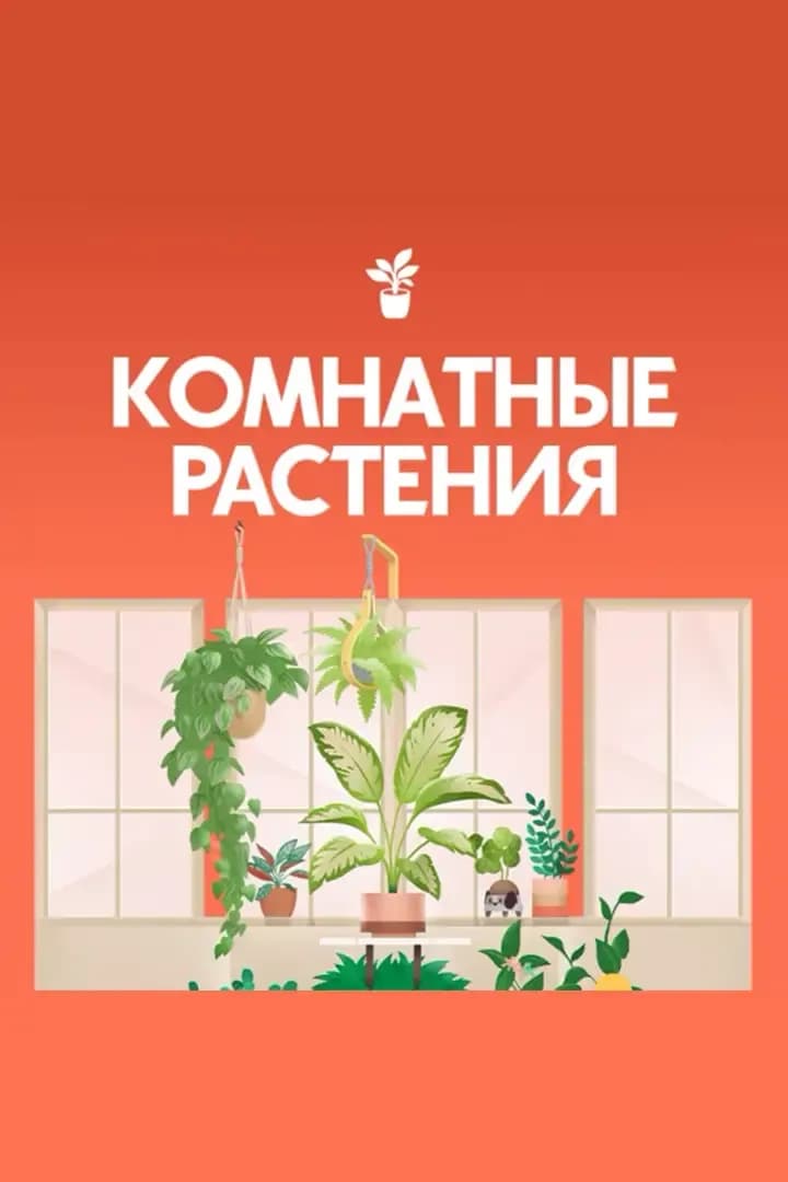 Комнатные Растения